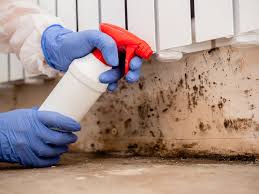 Why You Should Choose Our Mold Remediation Services in Matawan, NJ